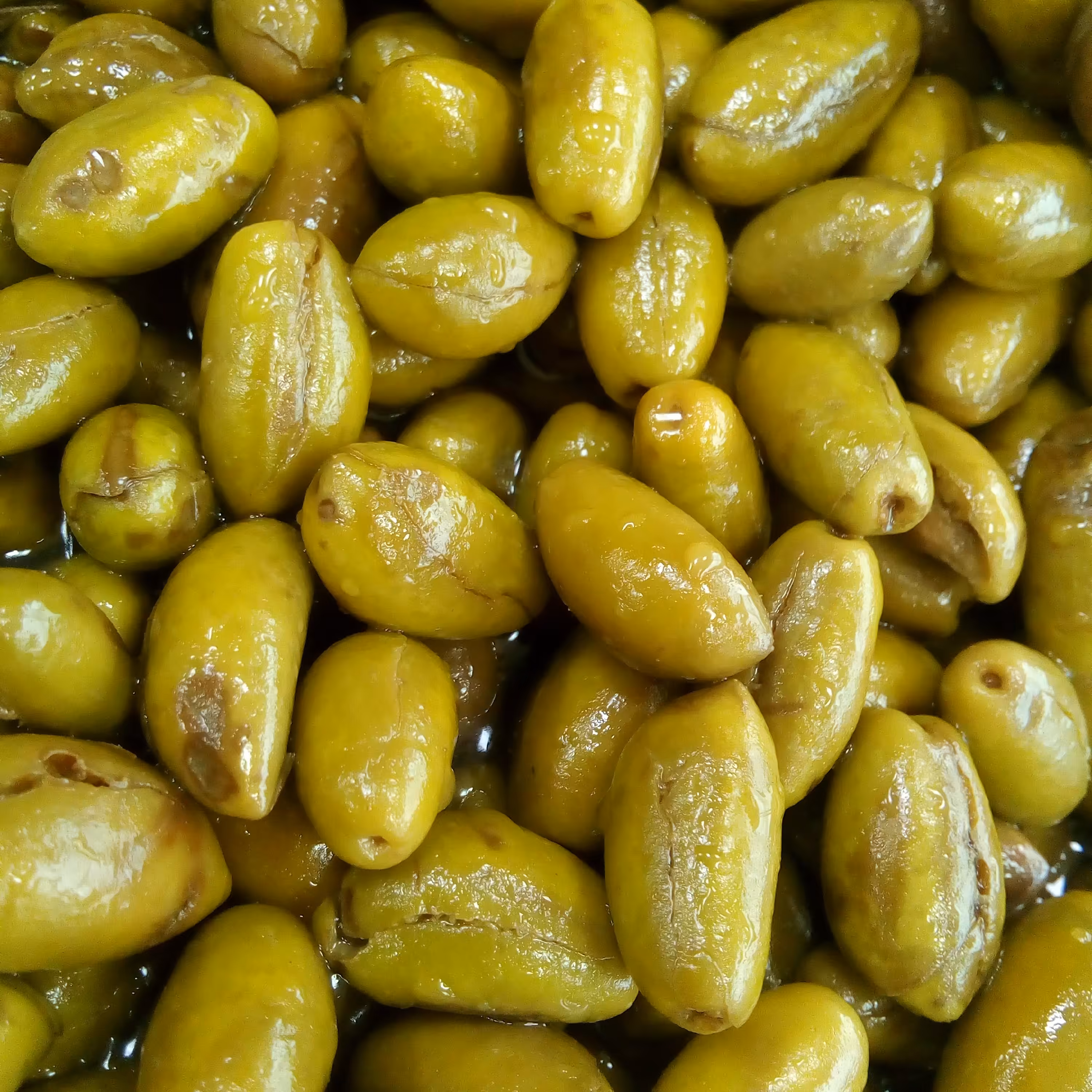 زیتون ماری مخصوص فروشگاه زیتون حامد یک کیلوگرمی