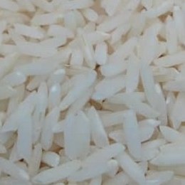 برنج شیرودی ده کیلویی شمال از شالیزارهای بابل