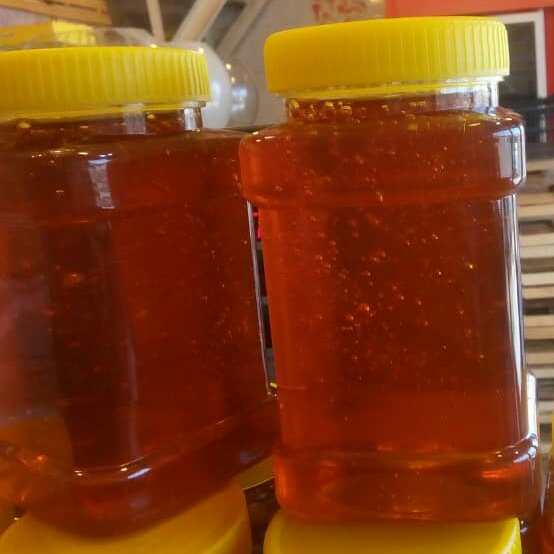 عسل آویشن کوهی دامنه سبلان (یک کیلویی)