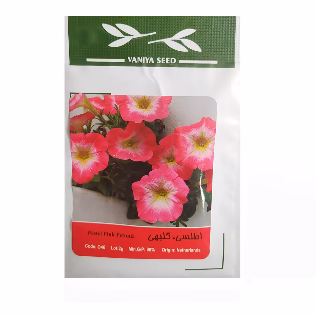 بذر گل اطلسی گلبهی
