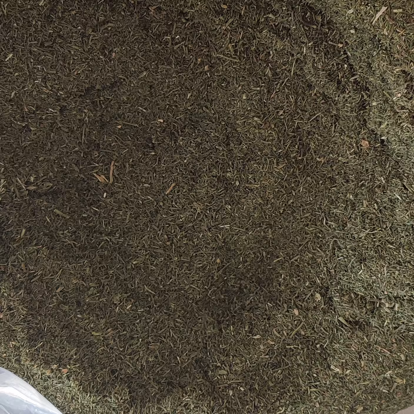 شوید (یک کیلو)