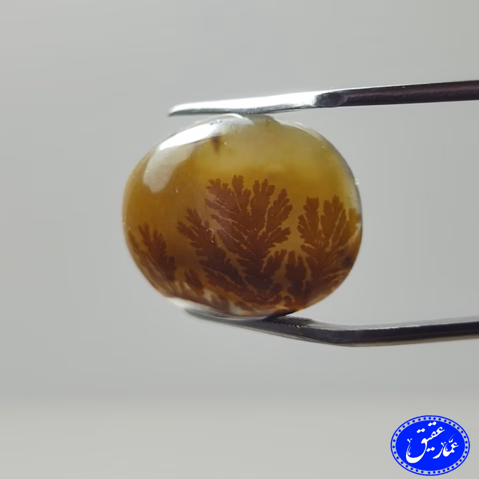 دوعدد نگین عقیق شجر قائن زرد رنگ