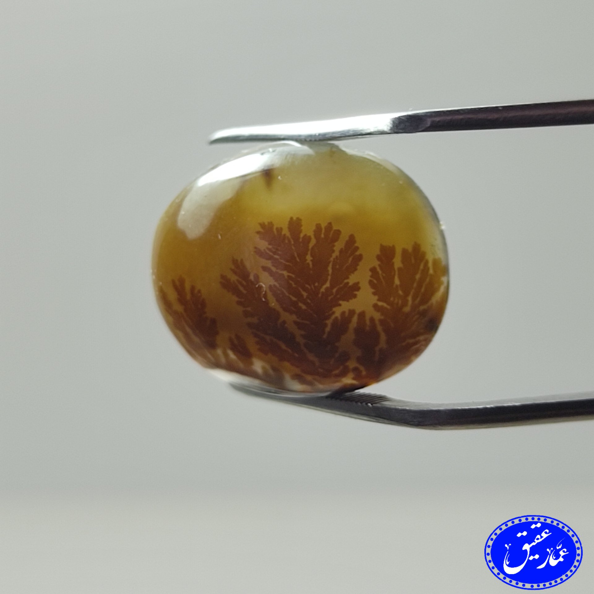 دوعدد نگین عقیق شجر قائن زرد رنگ