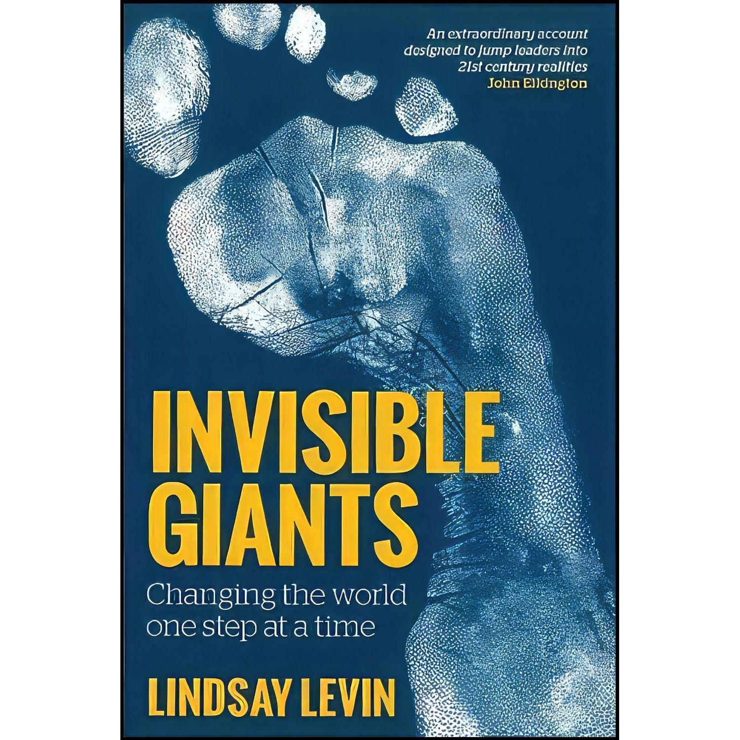 کتاب زبان اصلی Invisible Giants اثر Lindsay Levin