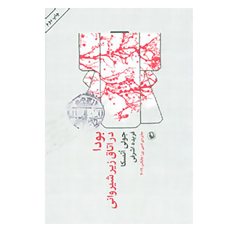 کتاب بودا در اتاق زیر شیروانی اثر جولی اتسکا