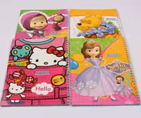 دفتر شطرنجی سیمی