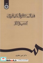 قیمت و خرید کتاب مبانی حقوق کیفری کسب و کار | ایده بوک