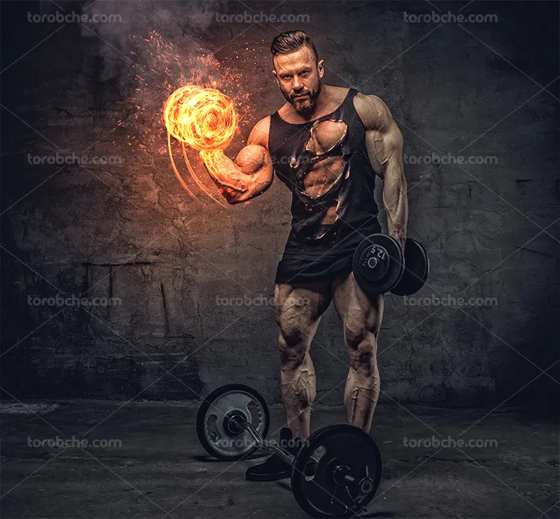 عکس بدنسازی با دمبل و وزنه | گرافیک با طعم تربچه