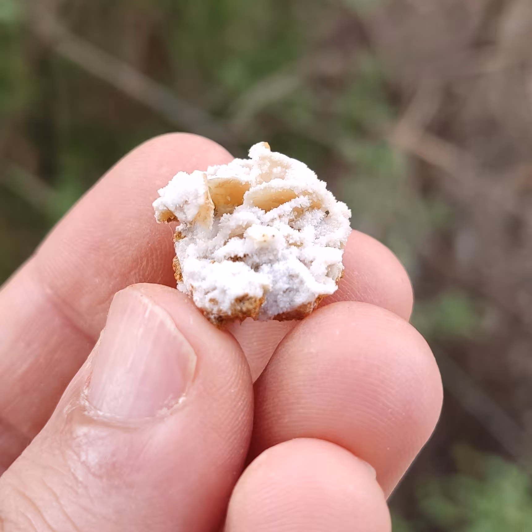 سنگ ولفونیت با هم رشدی کلسیت کلکسیونی (کد43)