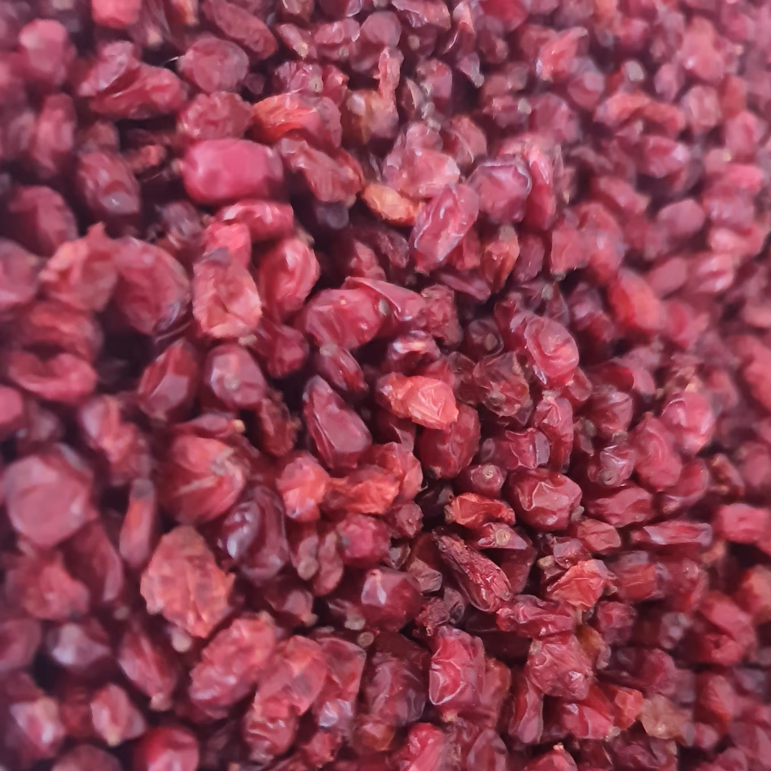 زرشک عالی      کیلویی       