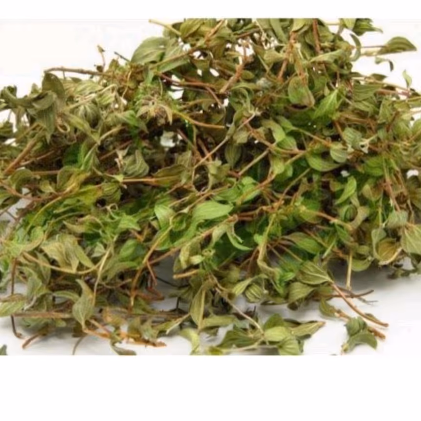 کاکوتی آویشن کوهی