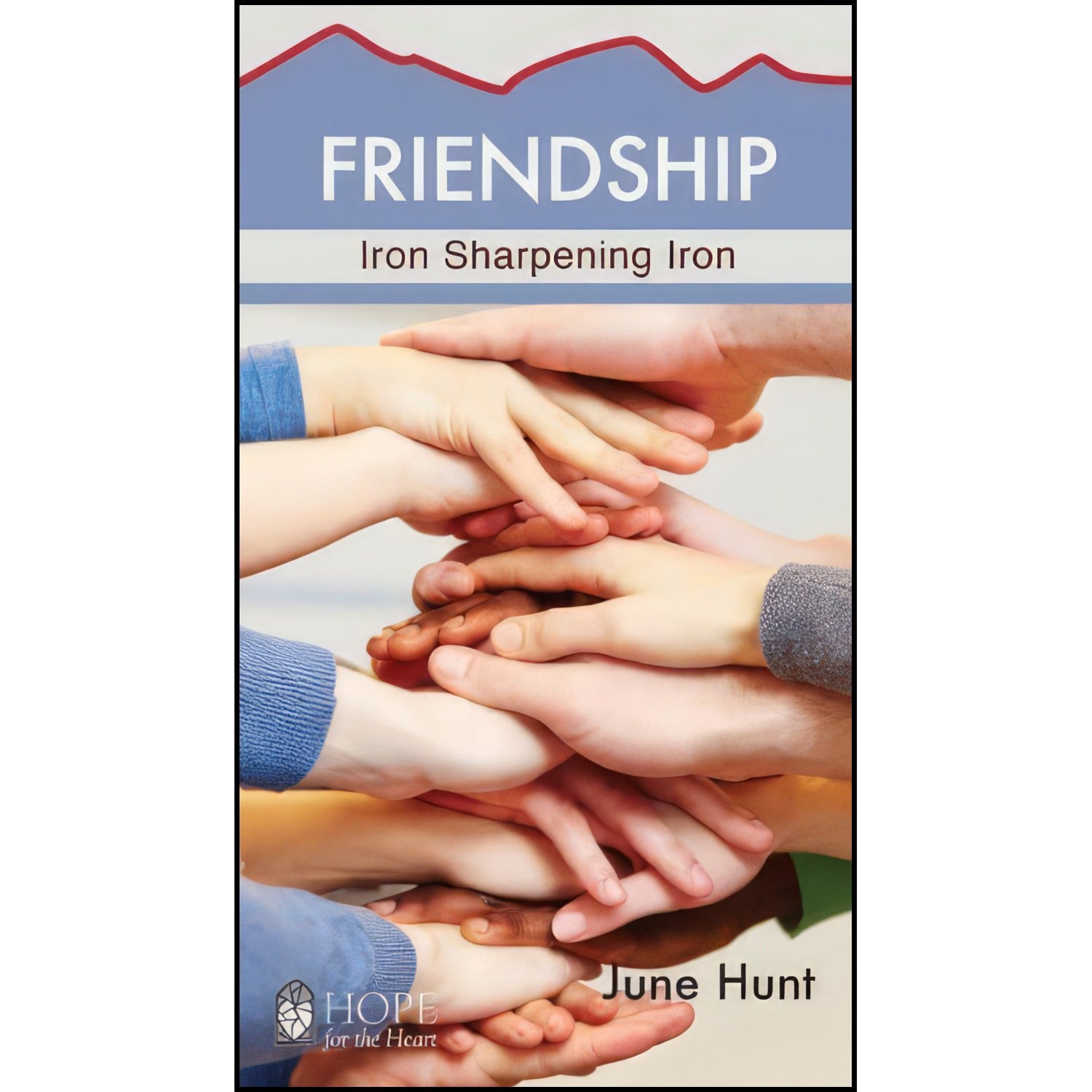 کتاب زبان اصلی Friendship June Hunt Hope For The Heart Series   Pack