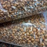 آجیل و تنقلات (پس کرایه)