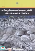 کتاب تشکیل رسوب و آسیب دیدگی سازند در فرایند تزریق آب به مخازن نفتی | ایده بوک