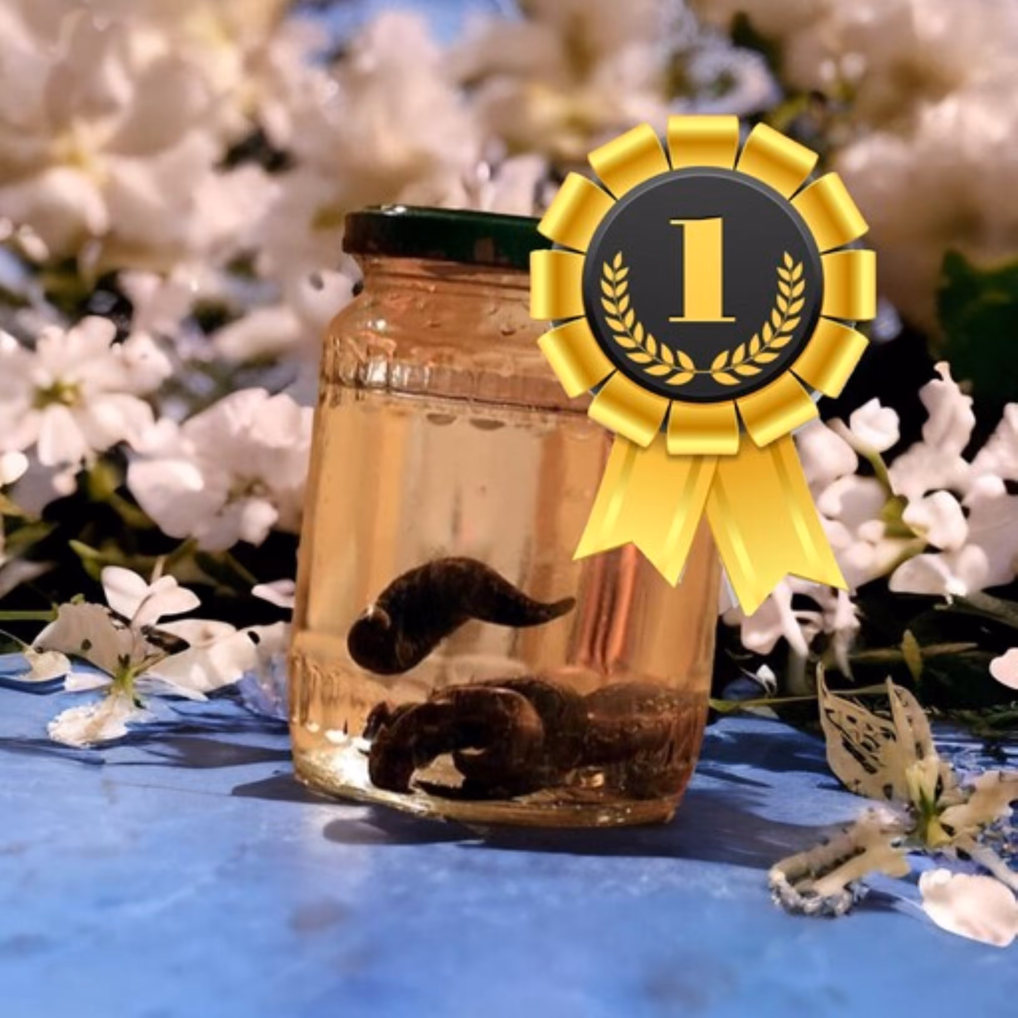 زالوطبی اُرگانیک-کوچک5تا7-پک طلایی300تایی-گیرایی فوق العاده(نقطه زن)