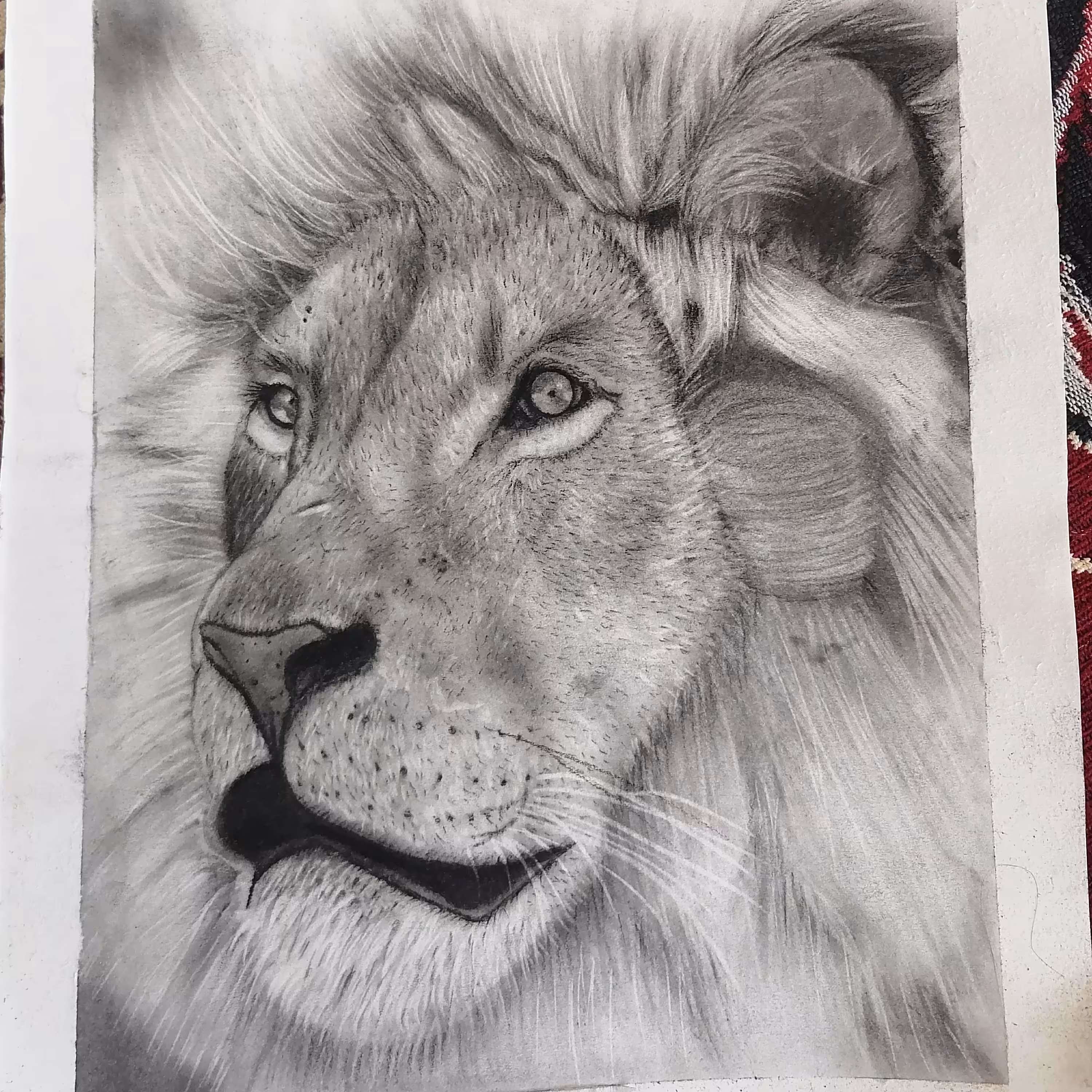 تابلونقاشی سیاه قلم شیر