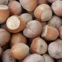 فندق آذربایجان