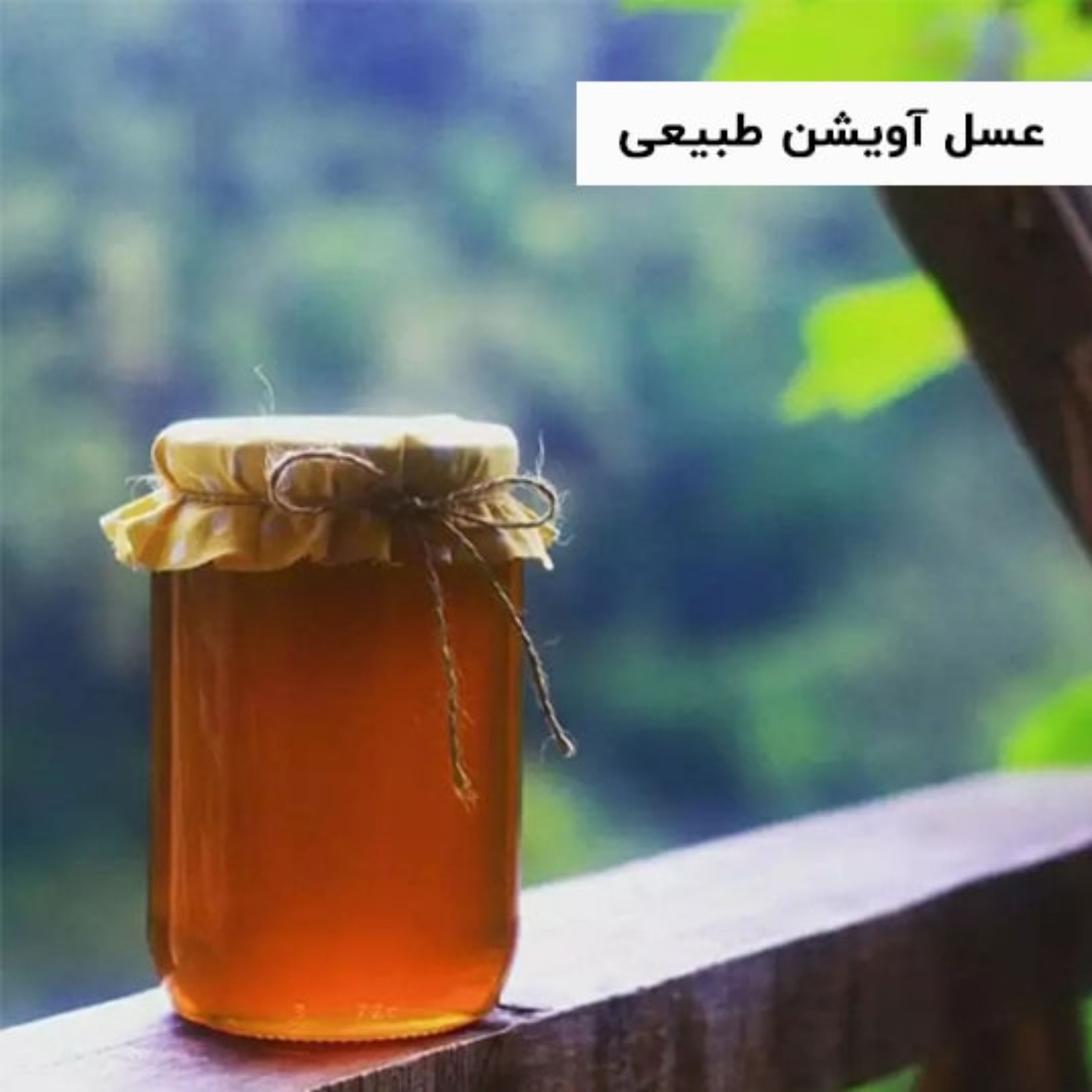 عسل آویشن طبیعی (برداشت از دماوند و گرما ندیده)