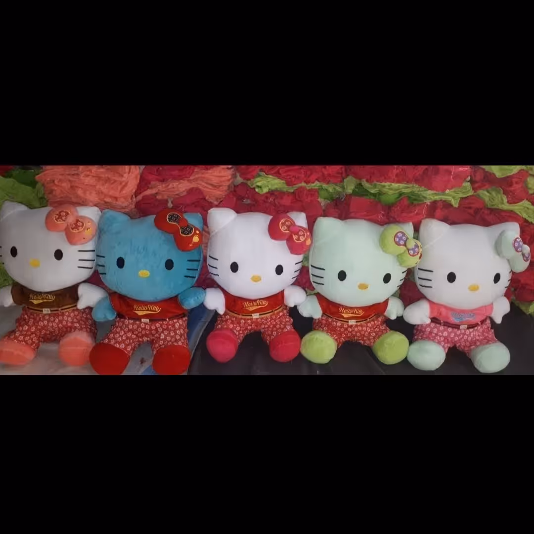 گربه کیتی سفارشی سوپر