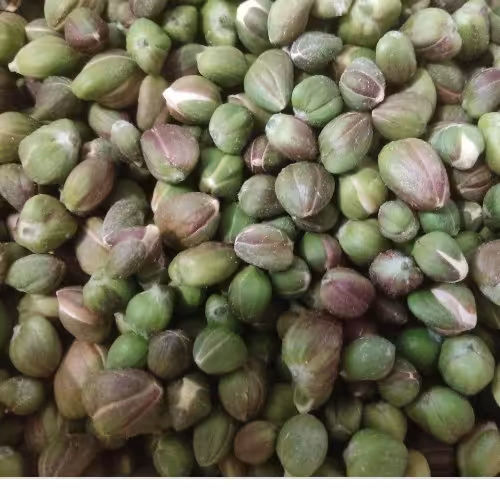 کبرگل خشک شده یا کاپاریس 1کیلویی (وزن خالص 900گرم)