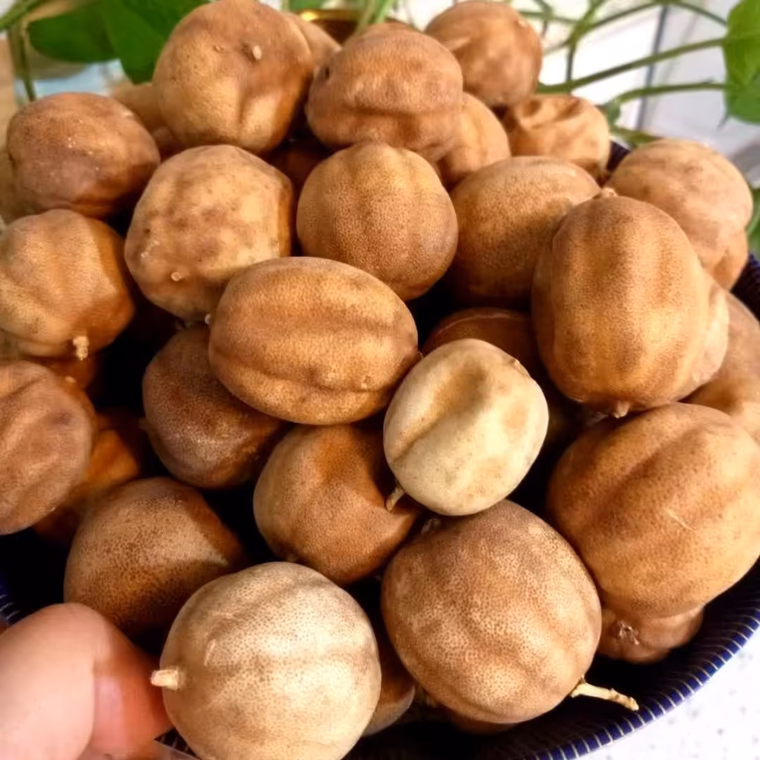 لیمو عمانی یک کیلویی 