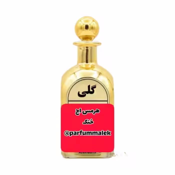 عطرگرمی هرمس H