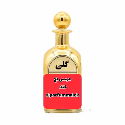 عطرگرمی هرمس H