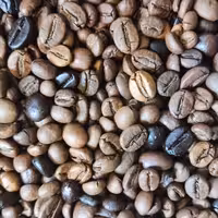 قهوه80روبستا 20عربیکا 500گرم