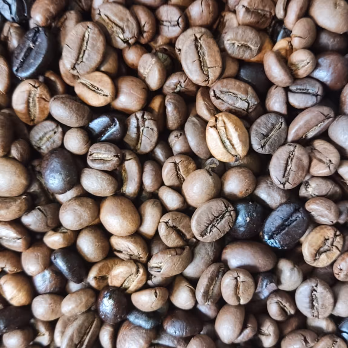 قهوه80روبستا 20عربیکا 500گرم