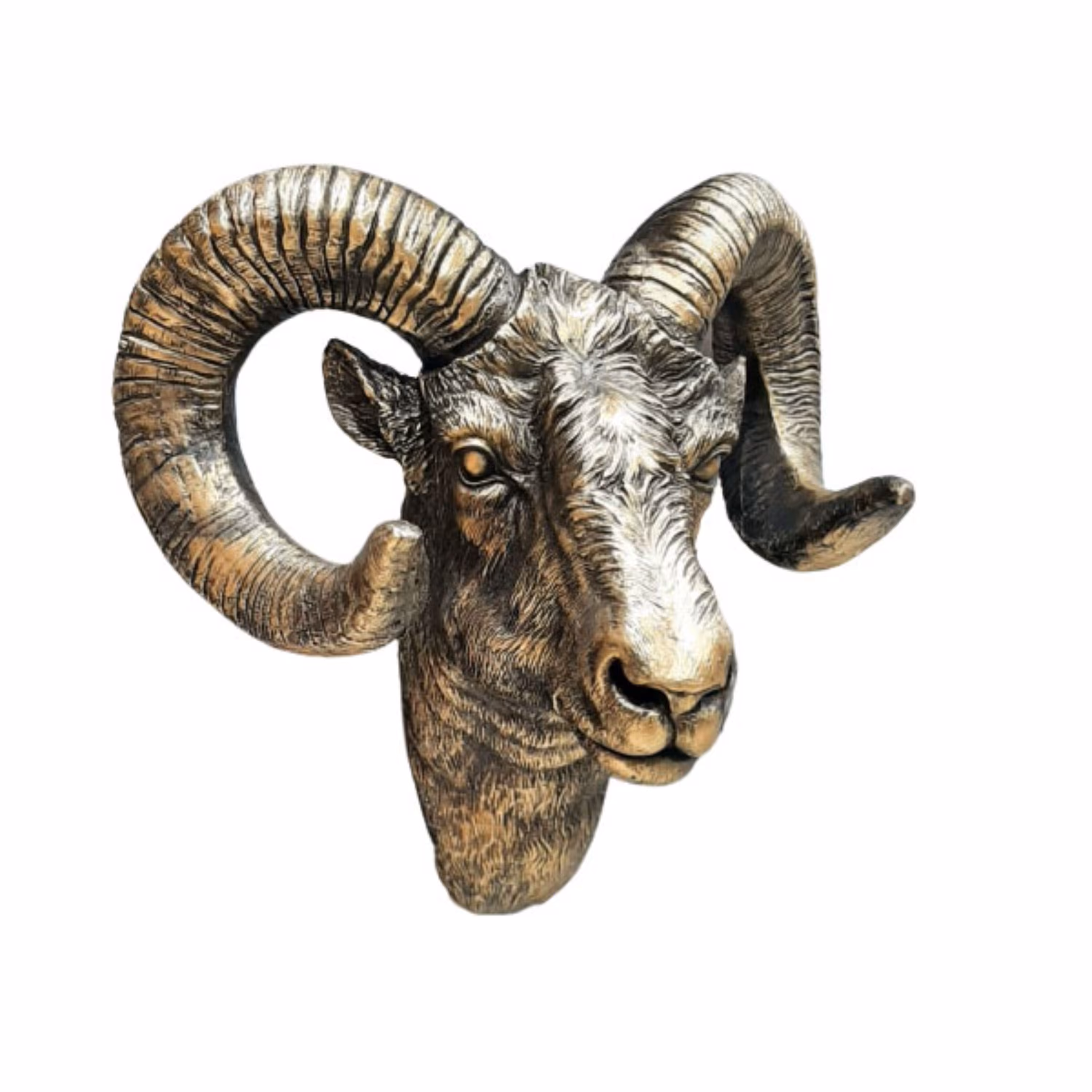 دیوارکوب قوچ کوهی