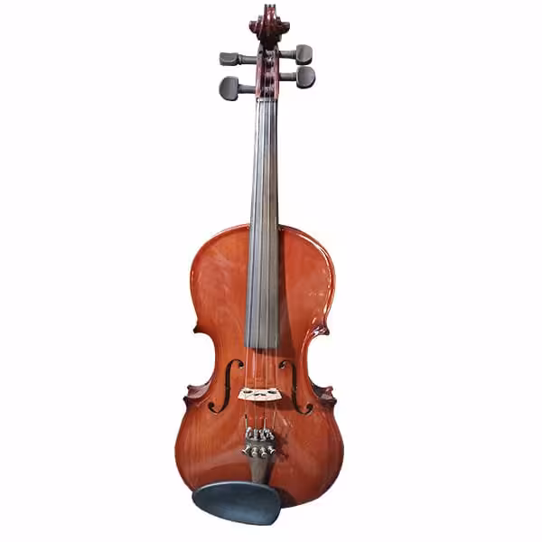 ویولن فرزام220