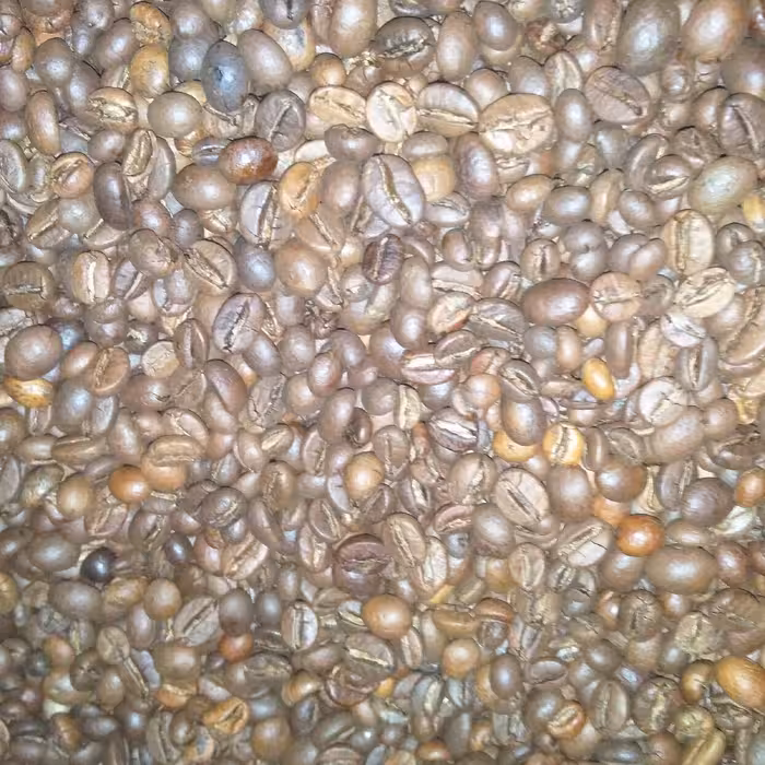 دانه قهوه میکس شده R 3