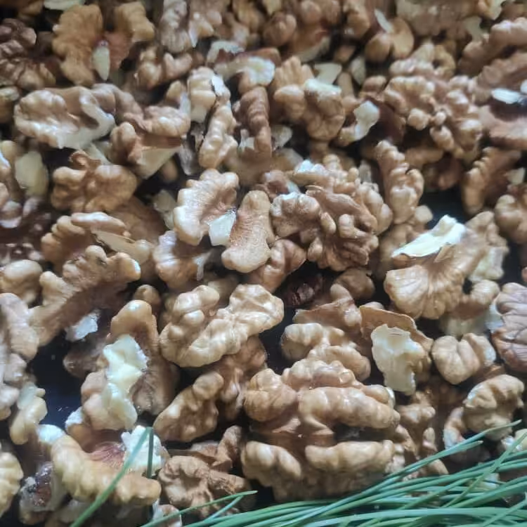 مغزگردو امسالی سفید