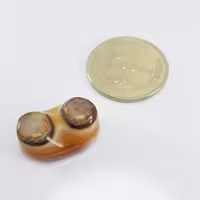 بابا قوری دو کوهان بسیار خاص و زیبا