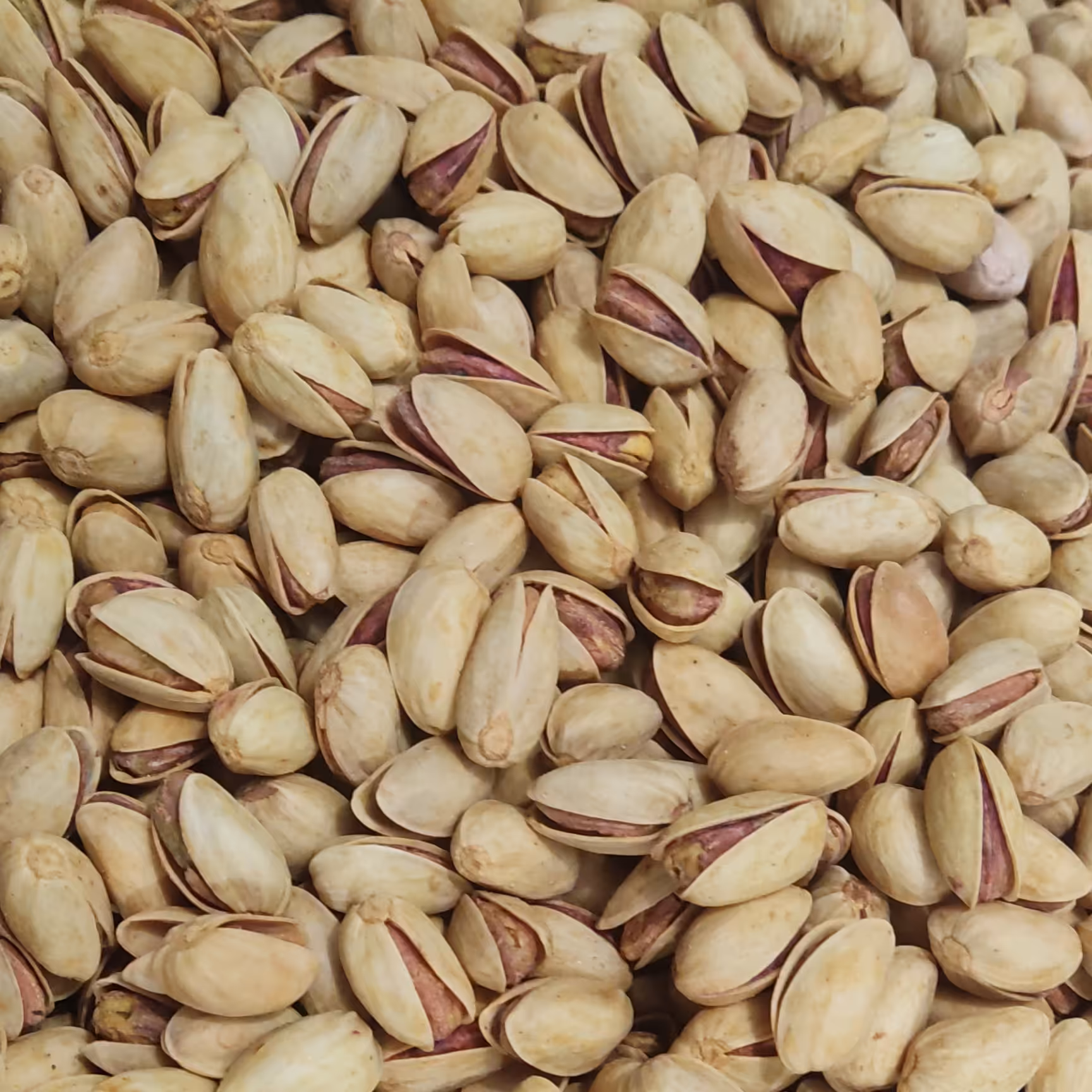 پسته شور زعفرانی دامغان امساله (دو کیلوگرم) (( پسته دامغان ))