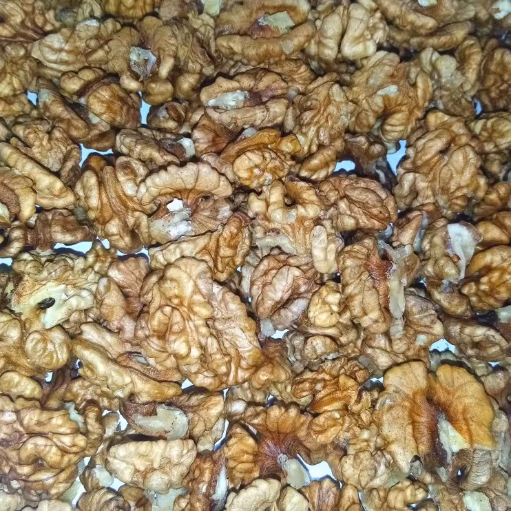 مغزه گردو تازه