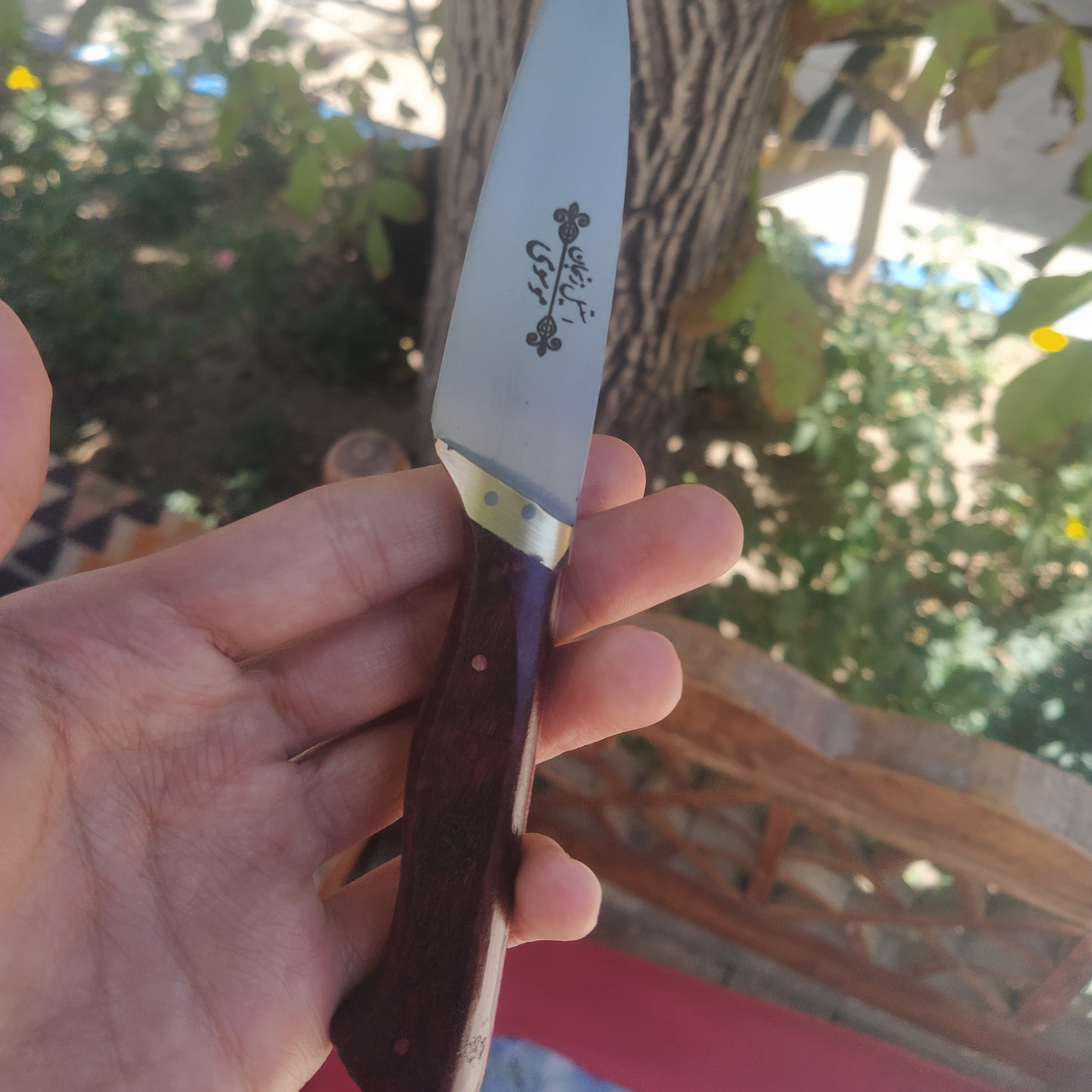 چاقوی آشپزخانه موسوی