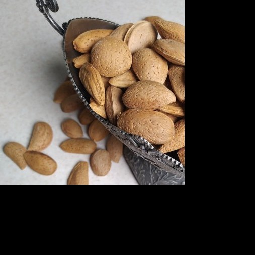 بادام سنگی(درختی) تازه و شیرین 1000گرمی