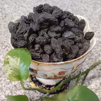 مویز بی هسته و بی دانه نیم کیلو محصول مسال 1402