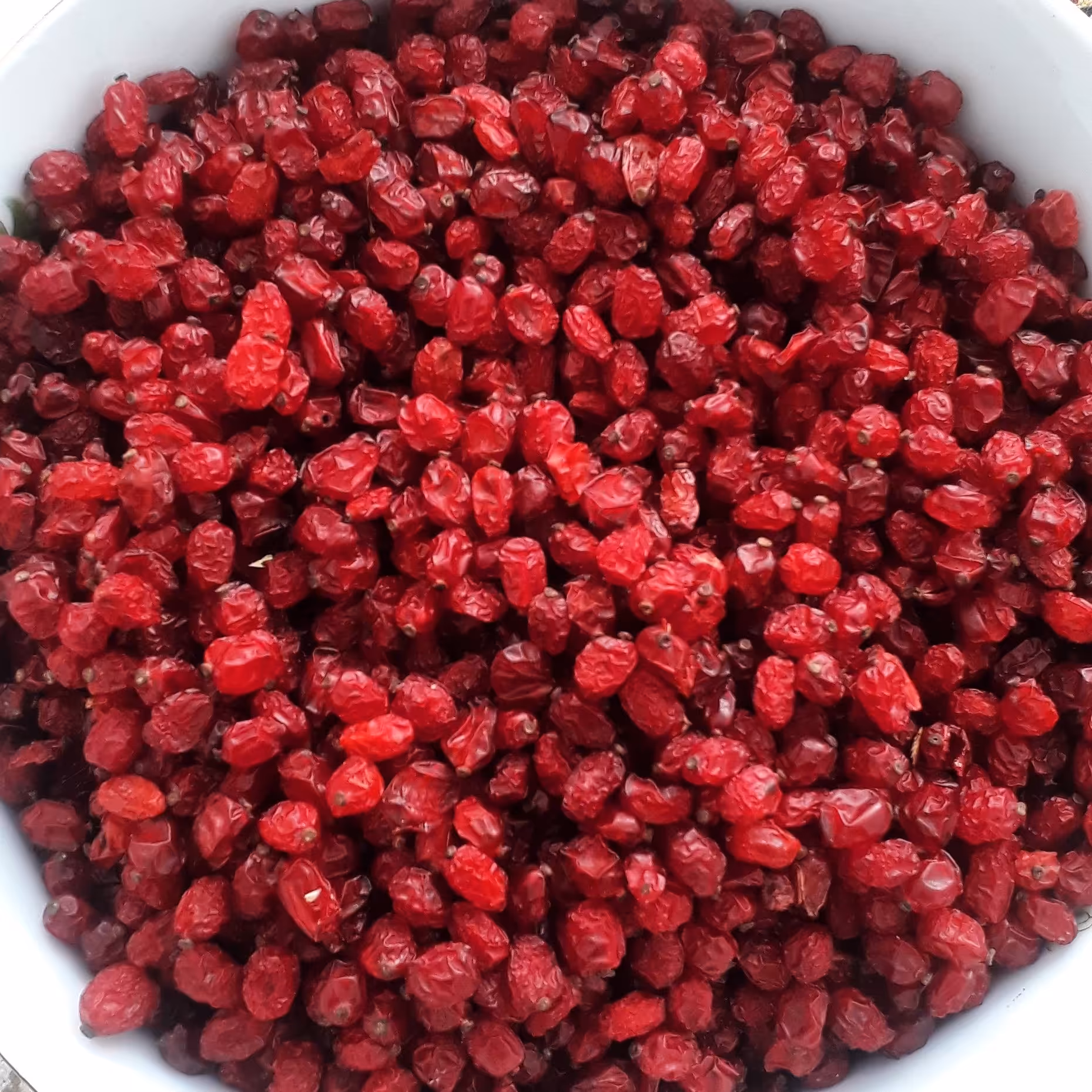 زرشک پفکی در جه یک در بسته های نیم کیلویی