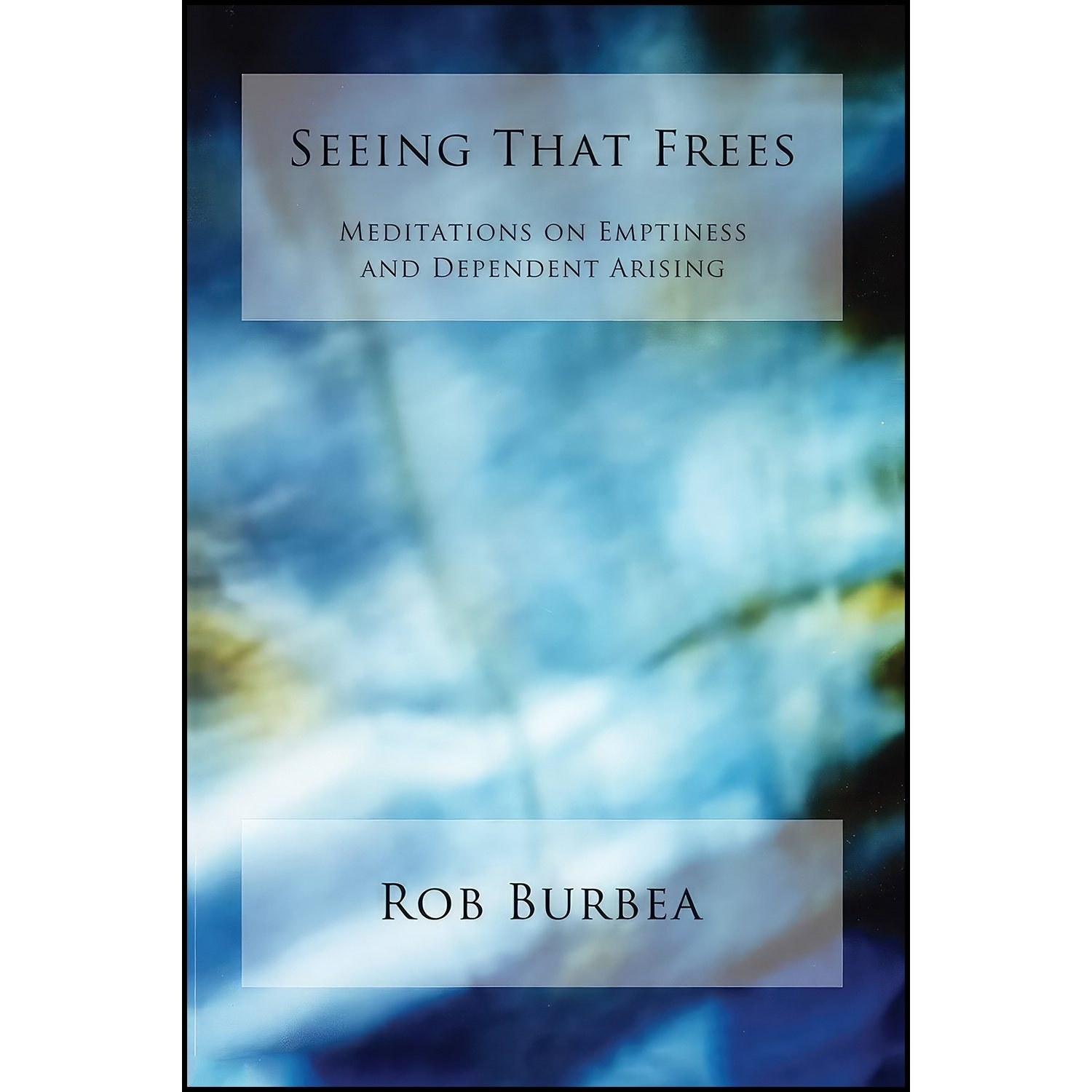 کتاب زبان اصلی Seeing That Frees اثر Robert Burbea