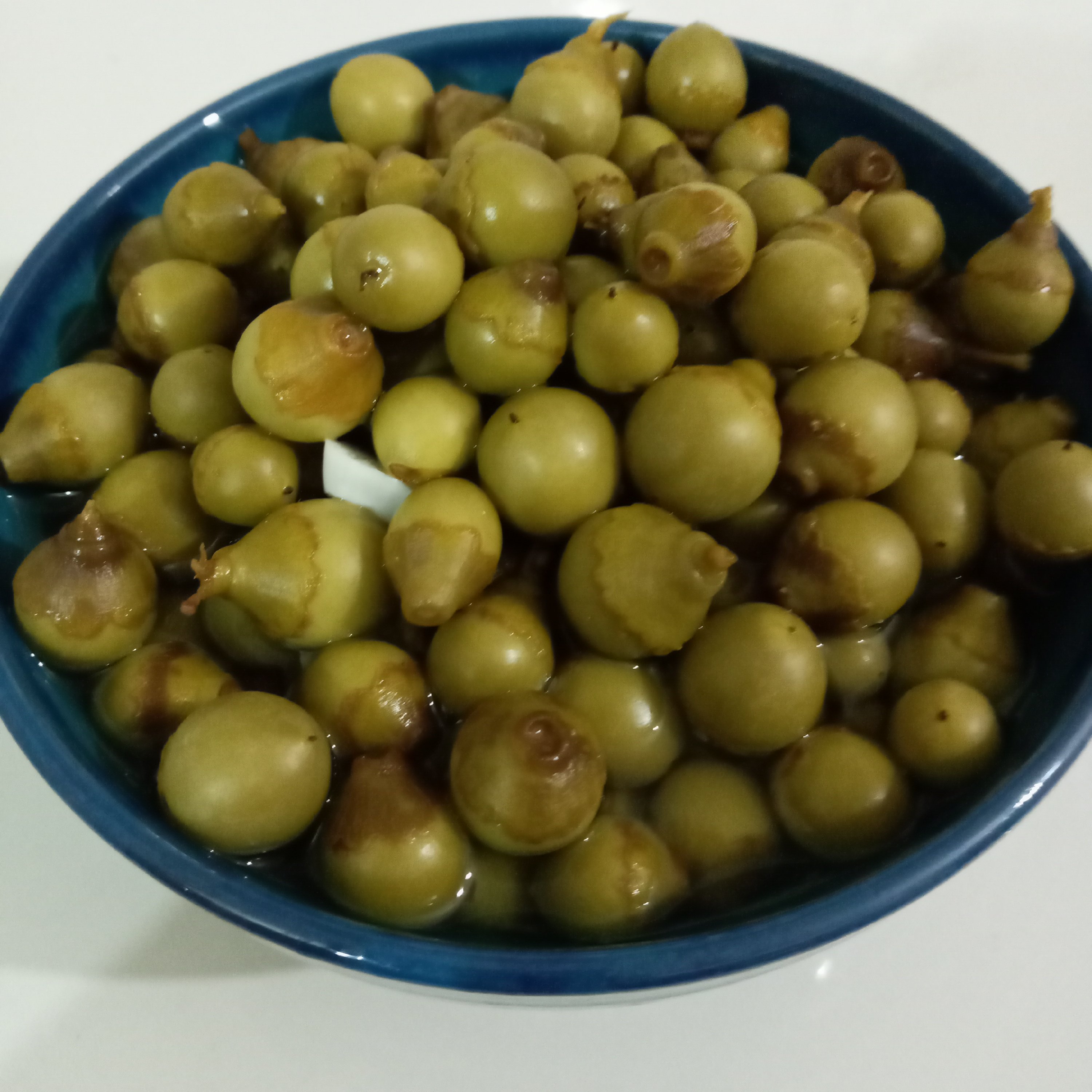 ترشی خاص جنوب فصلی