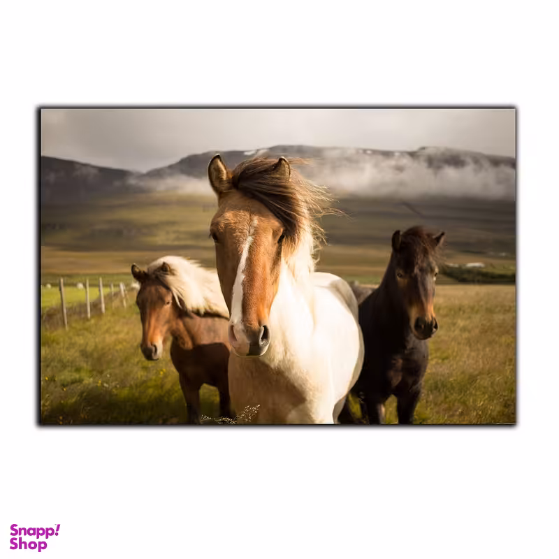 تابلو شاسی بکلیت طرح دشت و اسب مدل SH-7569