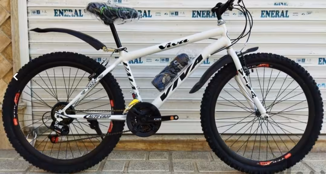 دوچرخه ویوا حرفه ای