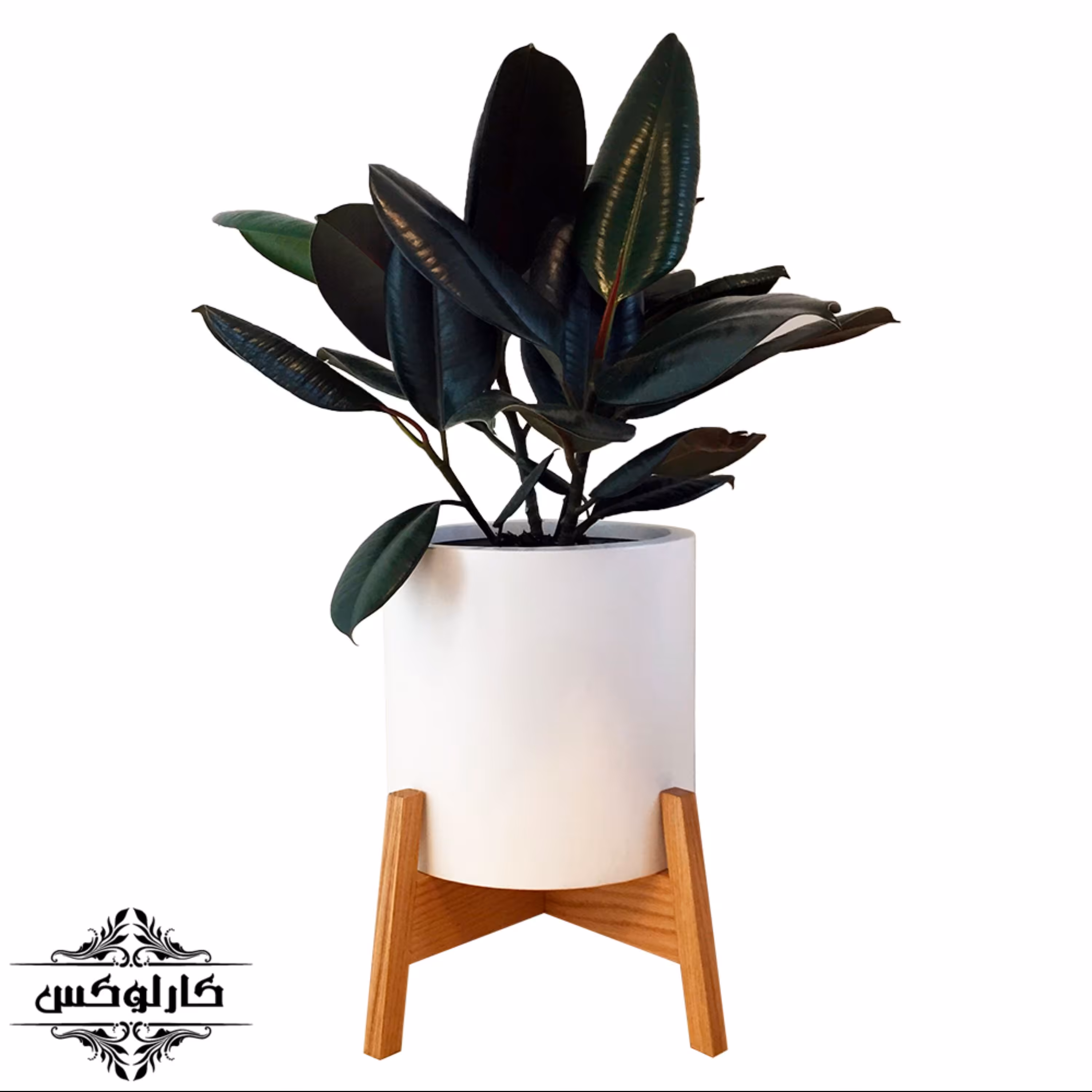 استند پایه کج 25 سانتی