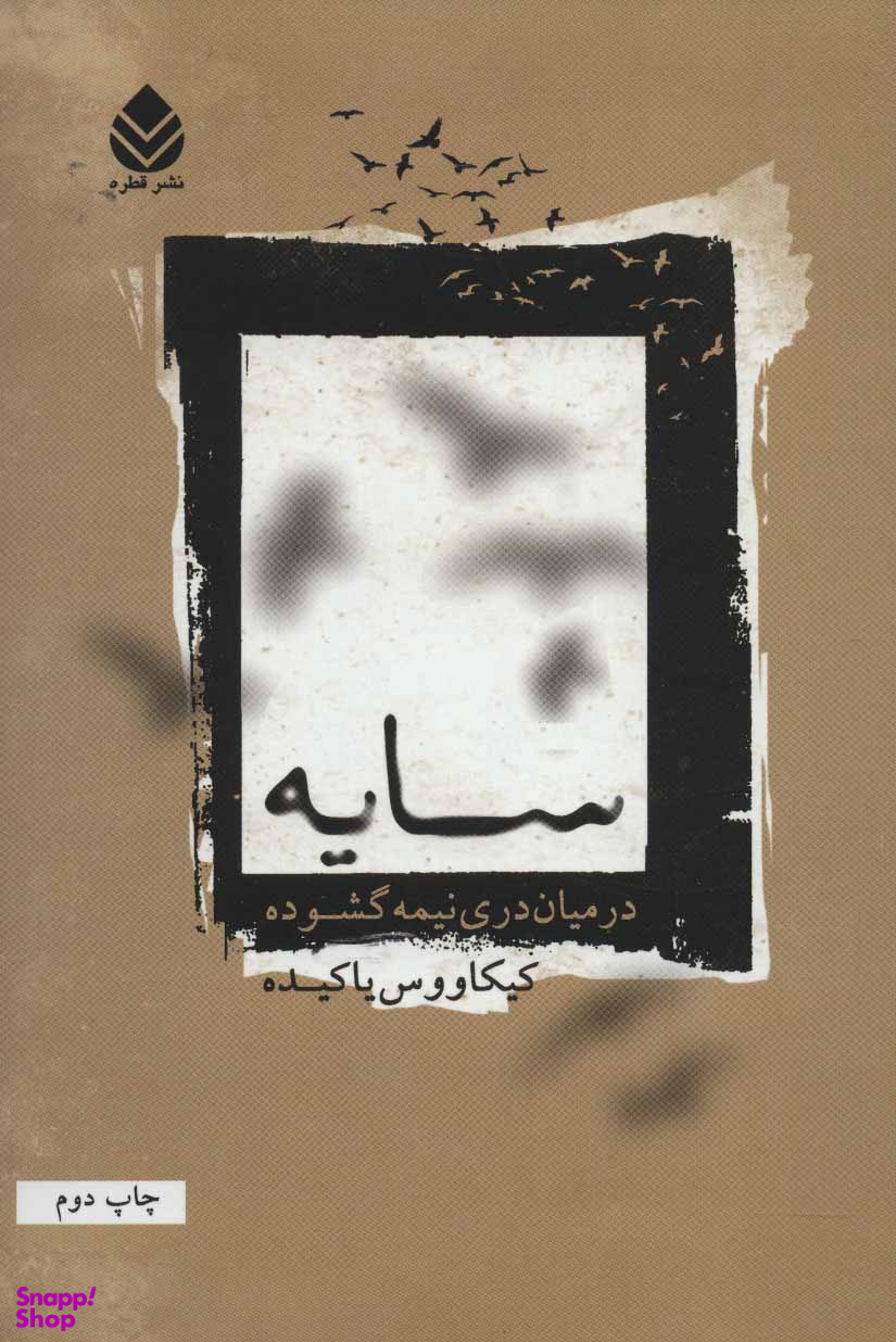 سایه در میان دری نیمه گشوده