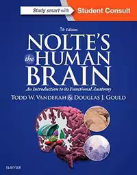[PDF] دانلود کتاب Nolte’S The Human Brain - An Introduction To Its Functional Anatomy, 7th ed, 2015
