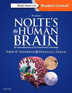 [PDF] دانلود کتاب Nolte’S The Human Brain - An Introduction To Its Functional Anatomy, 7th ed, 2015