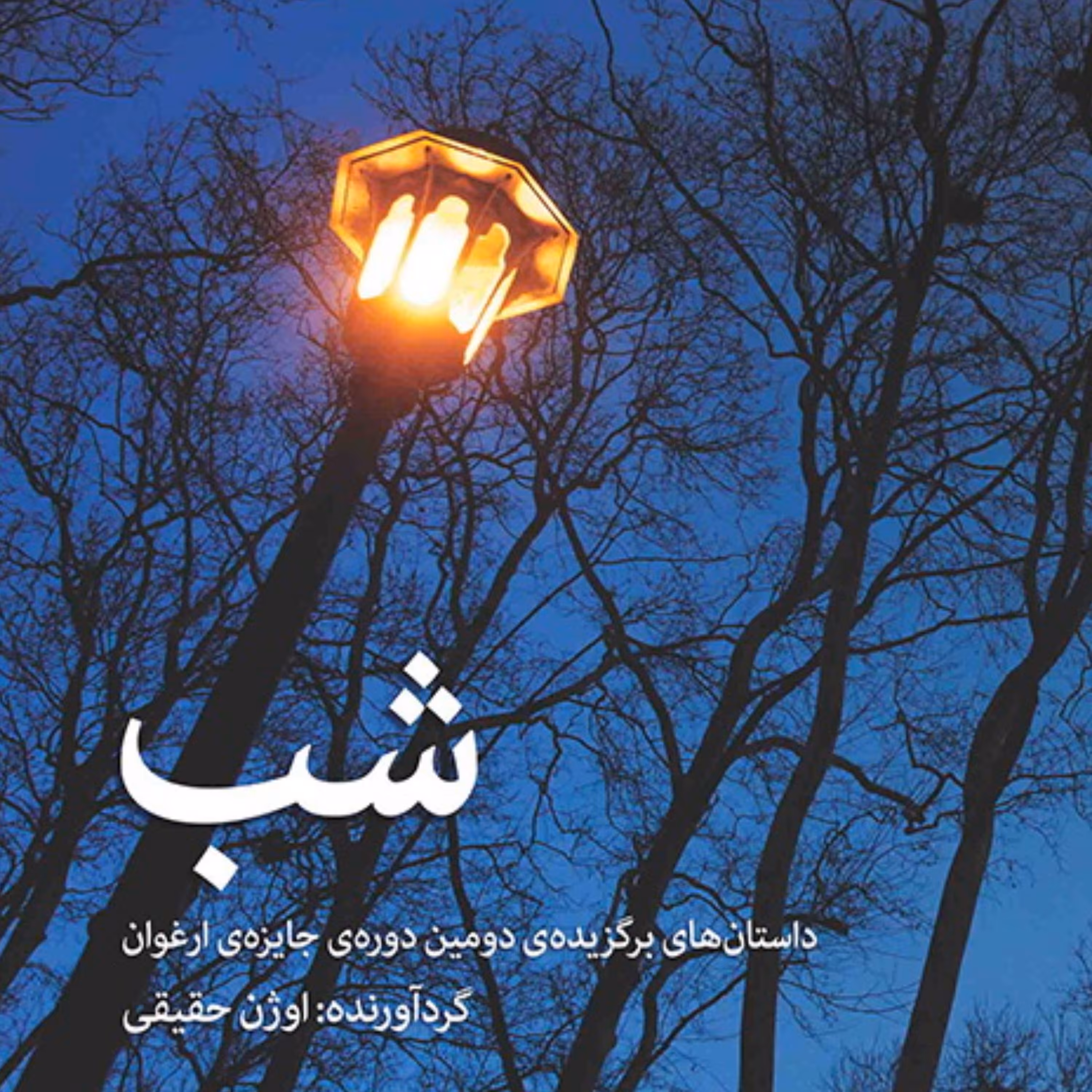 شب The Night Best of Short Stories اثراوژن حقیقی داستان کوتاه ایرانی نشر مرکز