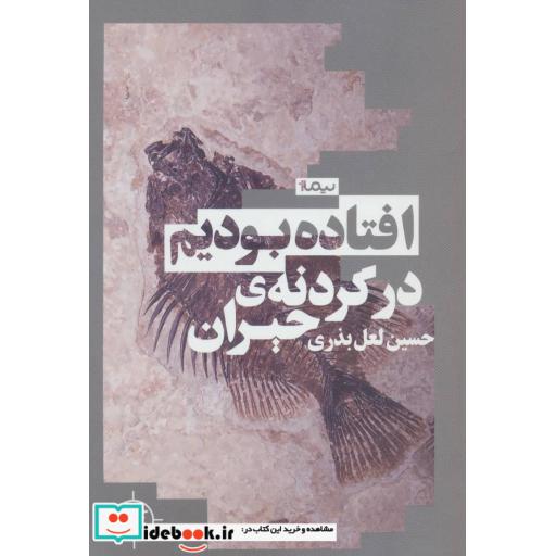کتاب افتاده بودیم در گردنه حیران
